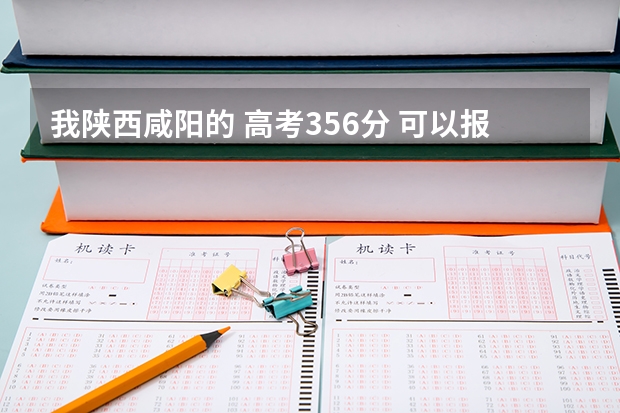 我陕西咸阳的 高考356分 可以报什么学校？